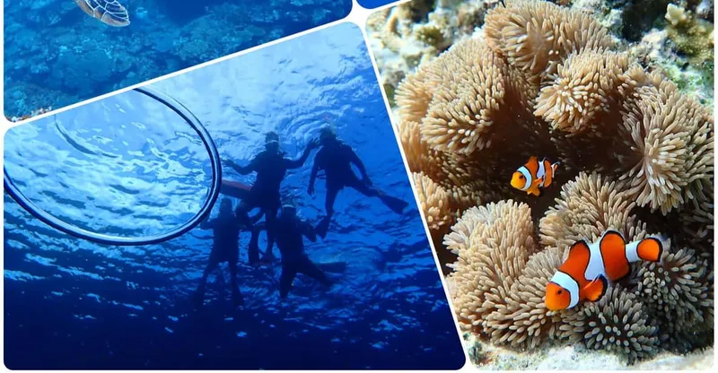A snorkeler swimming beside a sea turtle over a coral reef on an Ishigaki Island okinawa snorkeling adventure