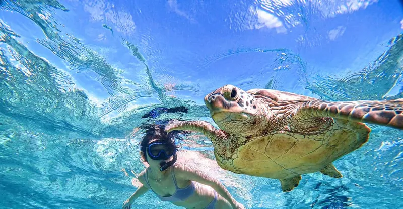 Snorkelers exploring a clear coral reef with a guide on a Miyako Island okinawa snorkeling experience